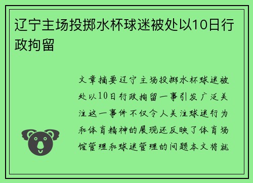 辽宁主场投掷水杯球迷被处以10日行政拘留
